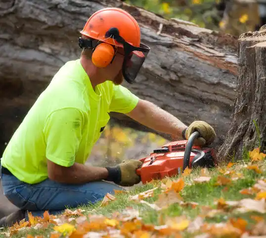 tree services Killbuck